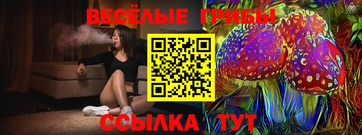 Галлюциногенные грибы Psilocybine cubensis  Галлюциногенные грибы мухоморы  Вход с VPN  Заводоуковск 